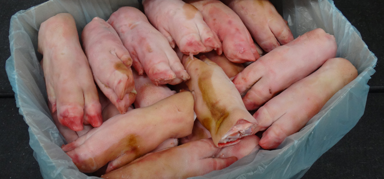 Schlachtnebenprodukte Schwein